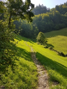 La descente vers la chapelle