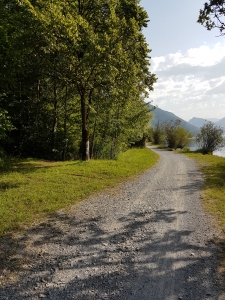 Chemin le long de l'Alpnachsee