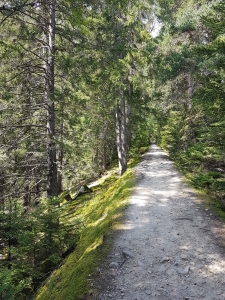 Sentier sur la Crête de Saleinaz