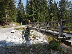 Pont dans la forêt de Planereuse