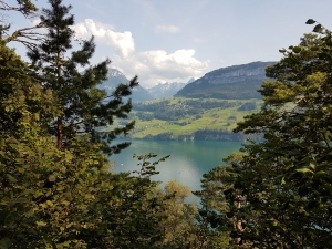 En face la presqu'île de Seelisberg