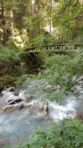 Pont sur le Trient