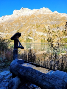 Lac Tseuzier depuis le barrage 