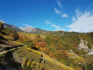 L'automne le long du bisse de Lentine