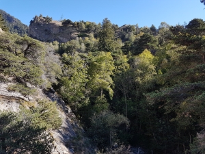 Vue du pont