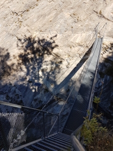 Le pont suspendu sur le Jolibach