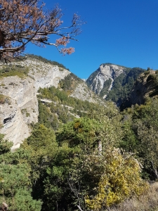 Montée après la buvette