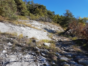 Descente vers Hohtenn Dorf