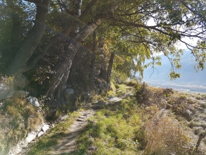 Bisse de Lügjer