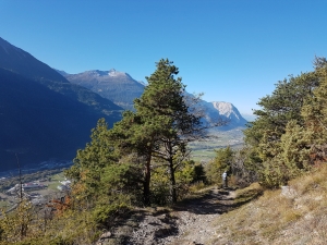 Descente vers Hohtenn Dorf