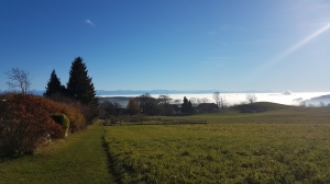 La mer de brouillard et les Alpes depuis Nods