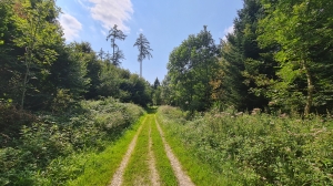 Avant de grimper vers le Château.