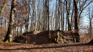 Près de l'Altisberg