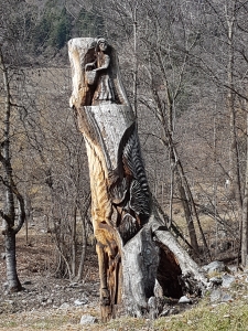 Récolte des châtaignes taillée dans un vieux tronc