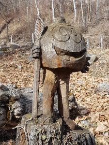 Récolte des châtaignes taillée dans un vieux tronc