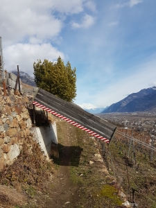 Toboggan à raisin