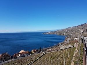 Beauté du Lavaux