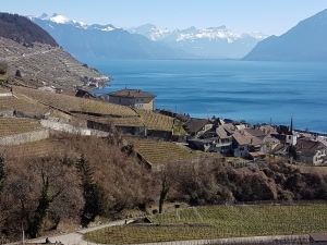 Chemin de montée au-dessus de Riex