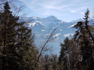 La vue du pont