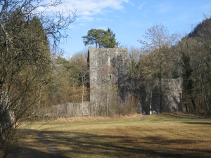 Ruine du château de Weissenau