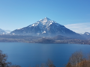 Lac de Thun et le Niesen