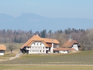 A Schöniberg et au loin le Jura