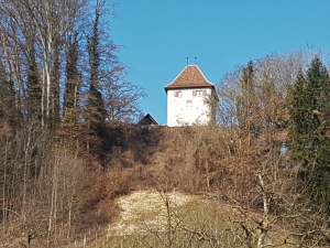 La tour de Kybourg-Buchegg