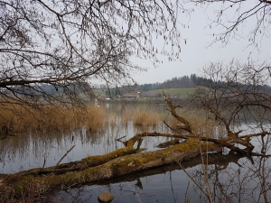 Bord de lac romantique