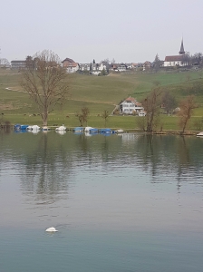 En face Wohlen bei Bern