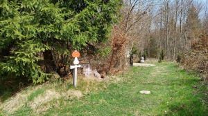 Le sentier est indiqué par des champignons