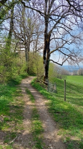 Après la chapelle, sur le chemin du retour