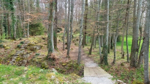 Passerelle en bois