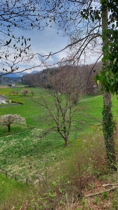 Vue depuis les ruines du château