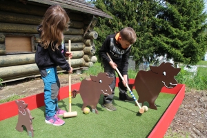 Joue au croquet « Vache-taureau-veau »