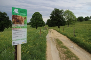 Des panneaux didactiques indiquent comment se comporter vis-à-vis du bétail bovin en promenade