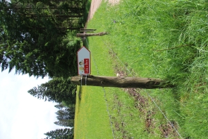 Viens à accompagner Léa et Ben sur le sentier découverte !