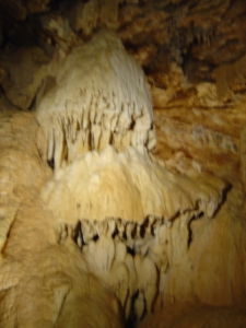 La méduse, aux grottes de Vallorbe