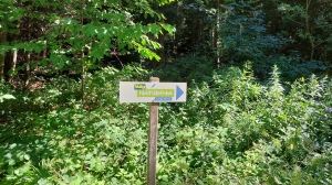 Le sentier est bien indiqué: suivez les flèches!