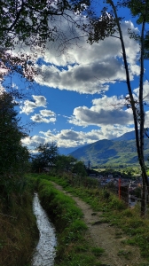 Le bisse de Réchy