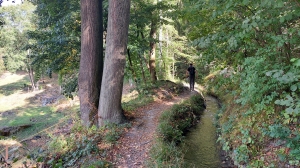 Le sentier le long du bisse