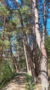 Le sentier est très agréable