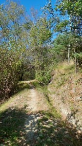 Le bisse (à sec ce jour-là)