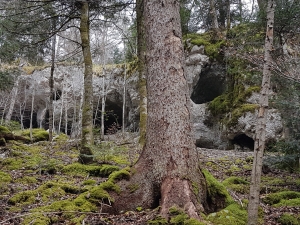 Les grottes