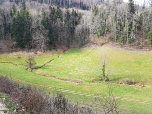 Ce petit ruisseau, c'est déjà la Lucelle