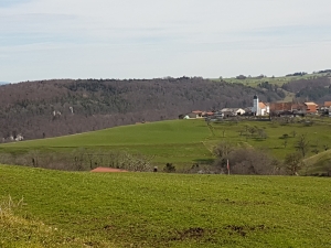 Bourrignon et en face dans la forêt on devine la fille de Mai