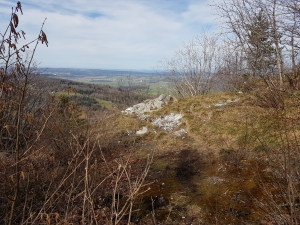 Vue sur l'Alsace