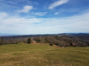 Et traversée de pâturages