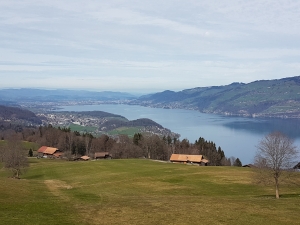 Lac de Thoune