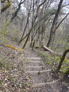 Au début de la descente qui plus bas est raide