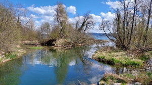 Vue sur l'embouchure de l'Arnon, depuis le petit pont en bois